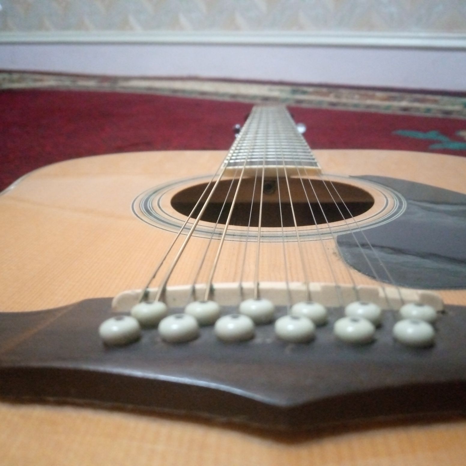 Gitara 12 struna Ibanez
