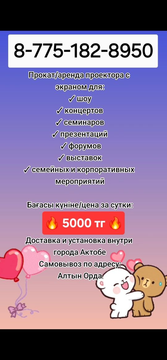 Проектор с экраном 5000
