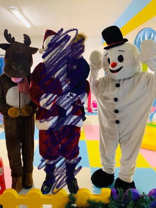 Costum Ren - Craciun