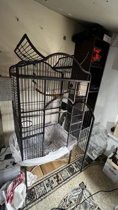 Vand schimb colivie mare