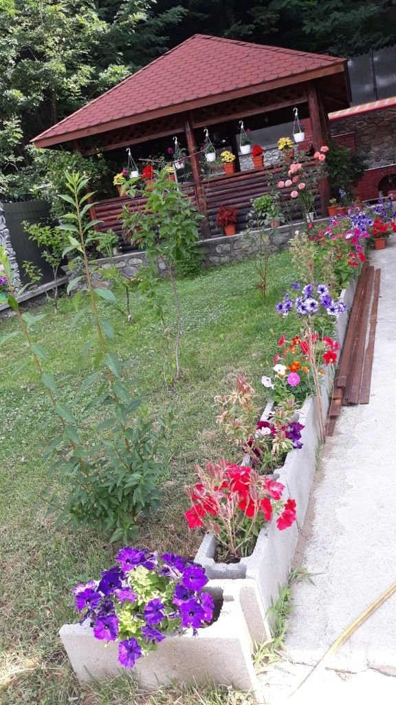 Casă de vânzare în Călimănești