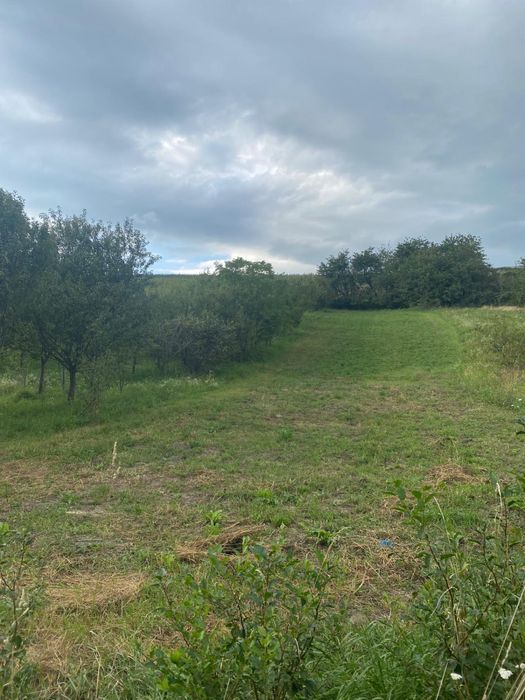 TEREN intravilan de vanzare 4500mp Sat.COMSESTI JUD.CLUJ