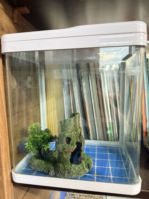 Продам готовый мини-аквариум 7 литров с подсветкой и декором