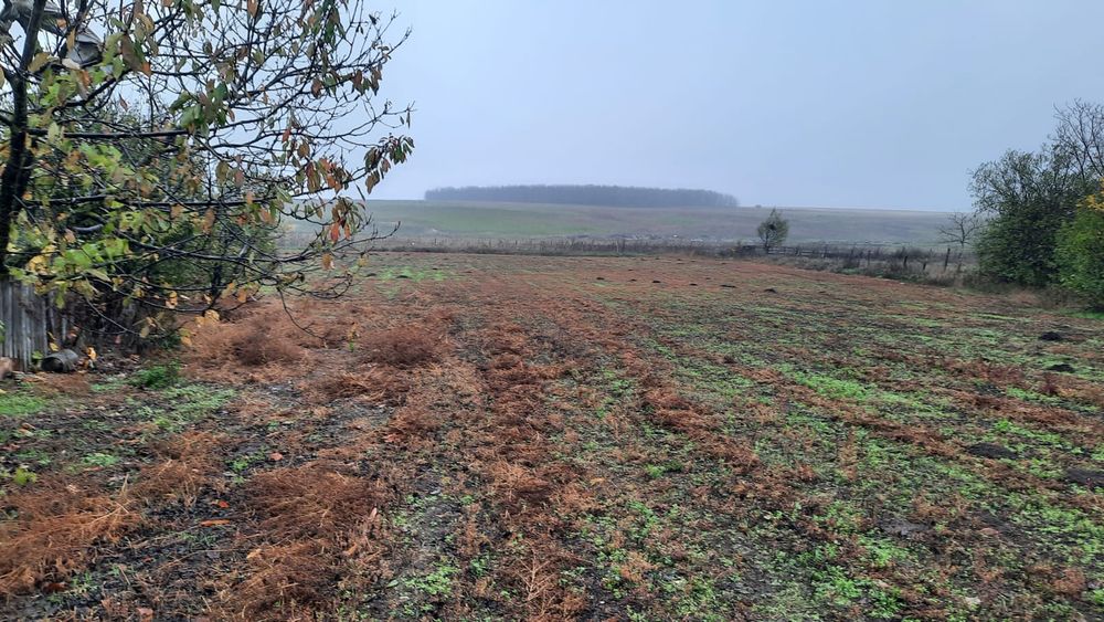 Casa locuibila sat Ciobanita, jud. Constanta