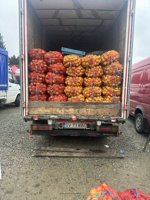 Vand mere pentru tuica