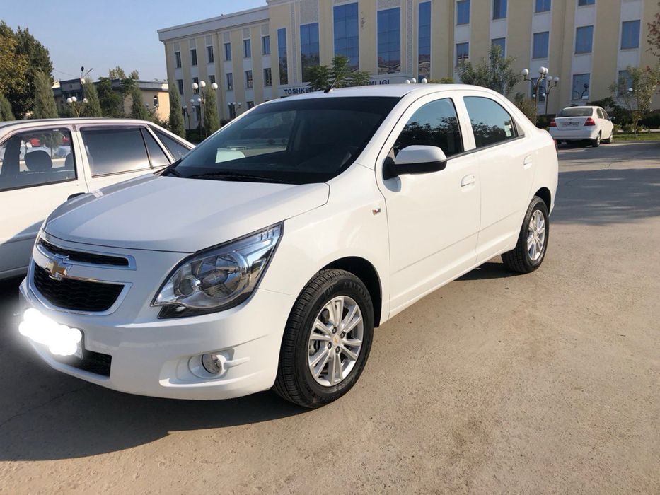 Cobalt 2025 full navarot