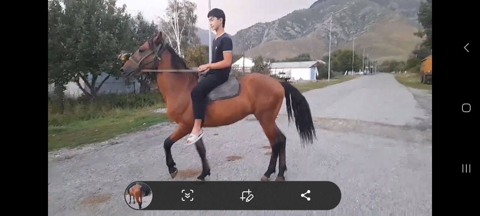 Айгыр сатам, 4 жасар. Продам жеребца  4 года.