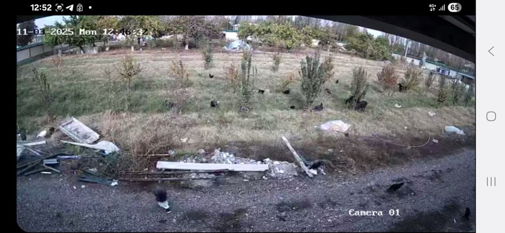 Продаётся текстильня швейная фабрика в Ташкентской области