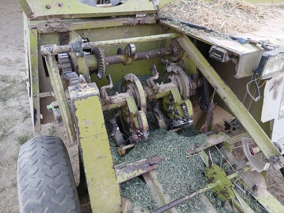 Markand 55 Germanyiski