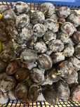 Vanzare prune Top Hit