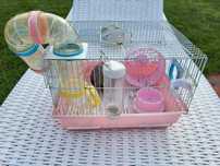 Vand cusca hamsteri