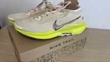 Nike Pegasus Trail 5 Sanddrift Gore-Tex