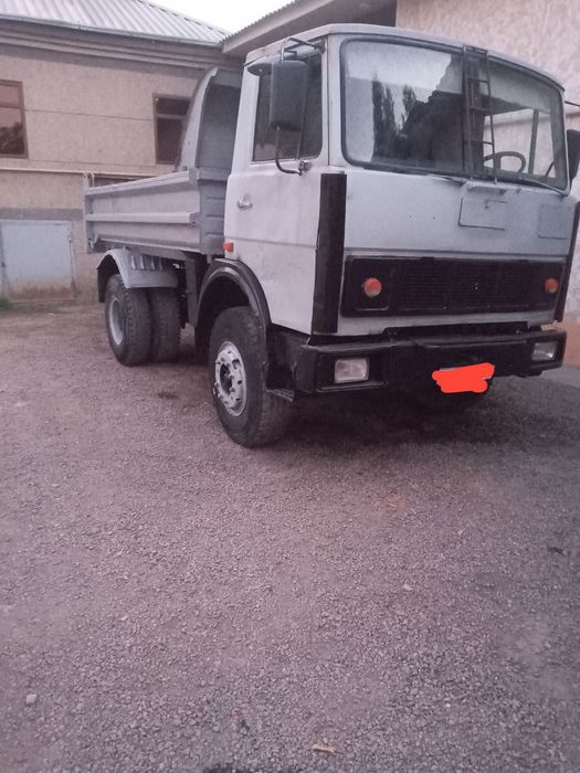 Maz samasval  holati zõr