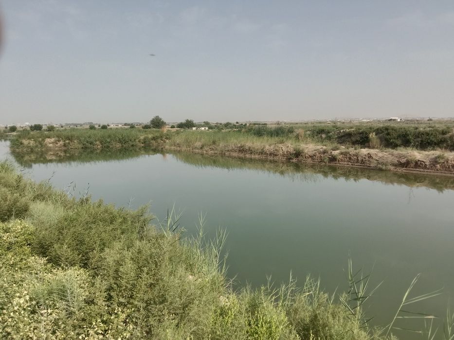 Чорвачилик  Балиқчилик  Ферма  сотилади