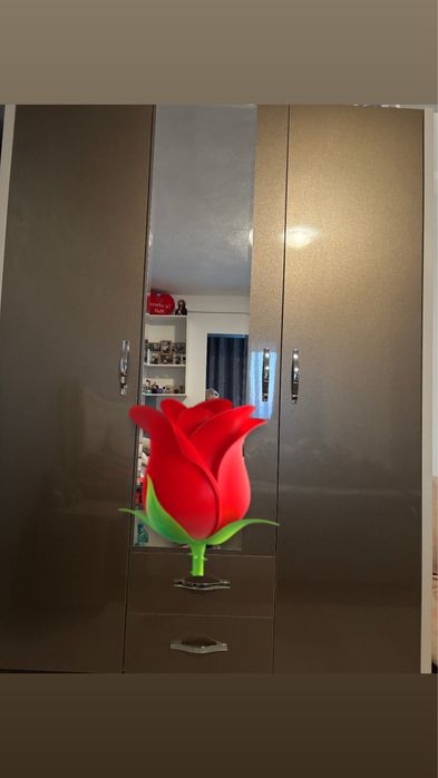 Dulap cu 3 usi si oglinda ,achiziționat anul acesta