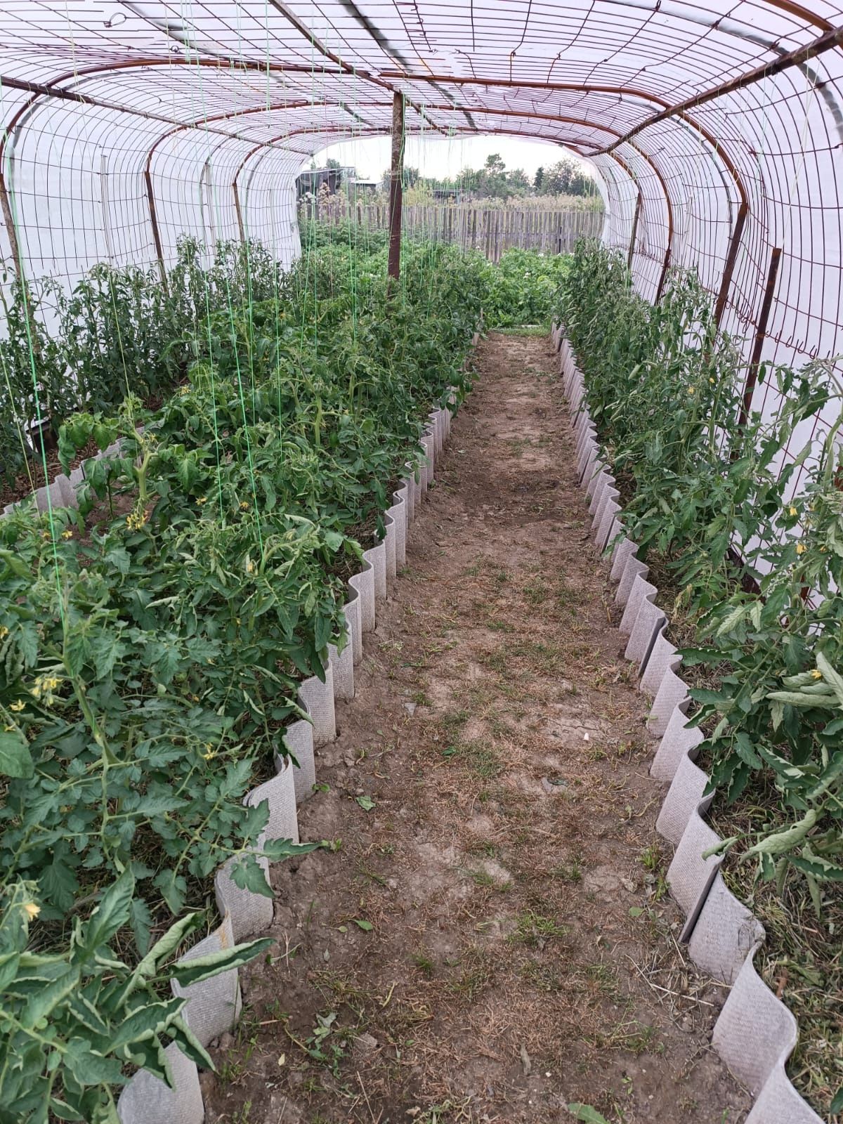 Продам дачу на федоровке два совмещённых участка
