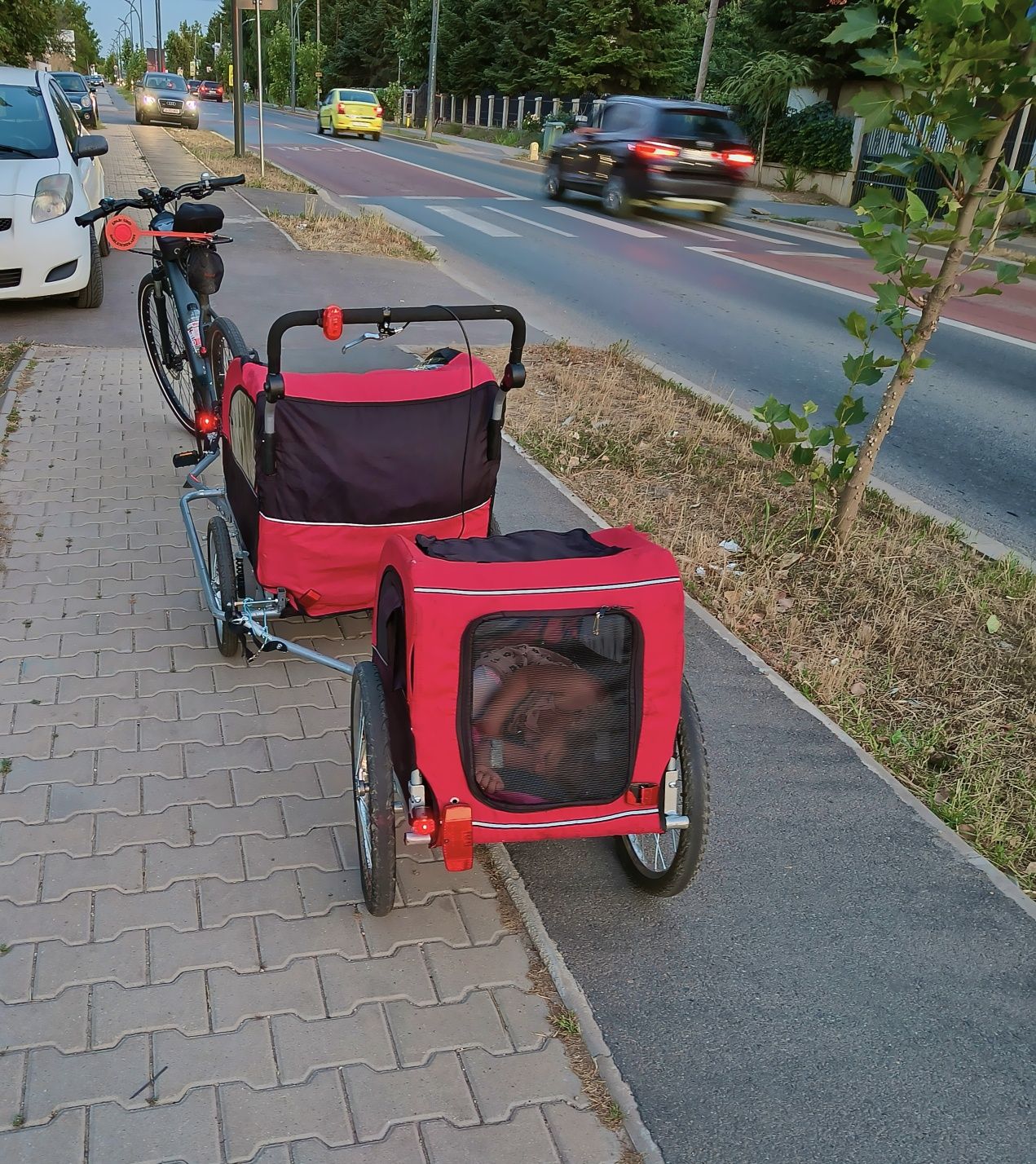 Remorca pentru bicicleta