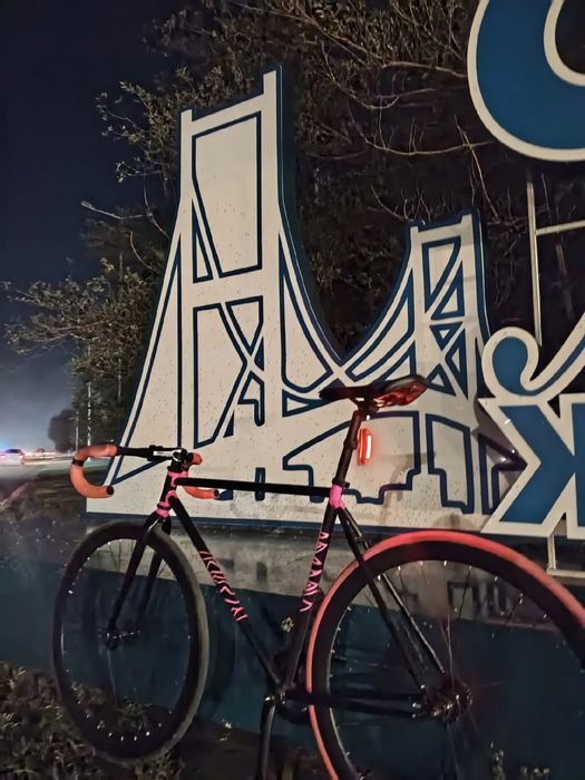 Fixed gear Vinny