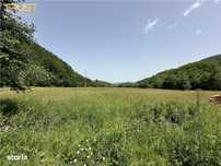 Teren I 2558 Mp I Sacuieu