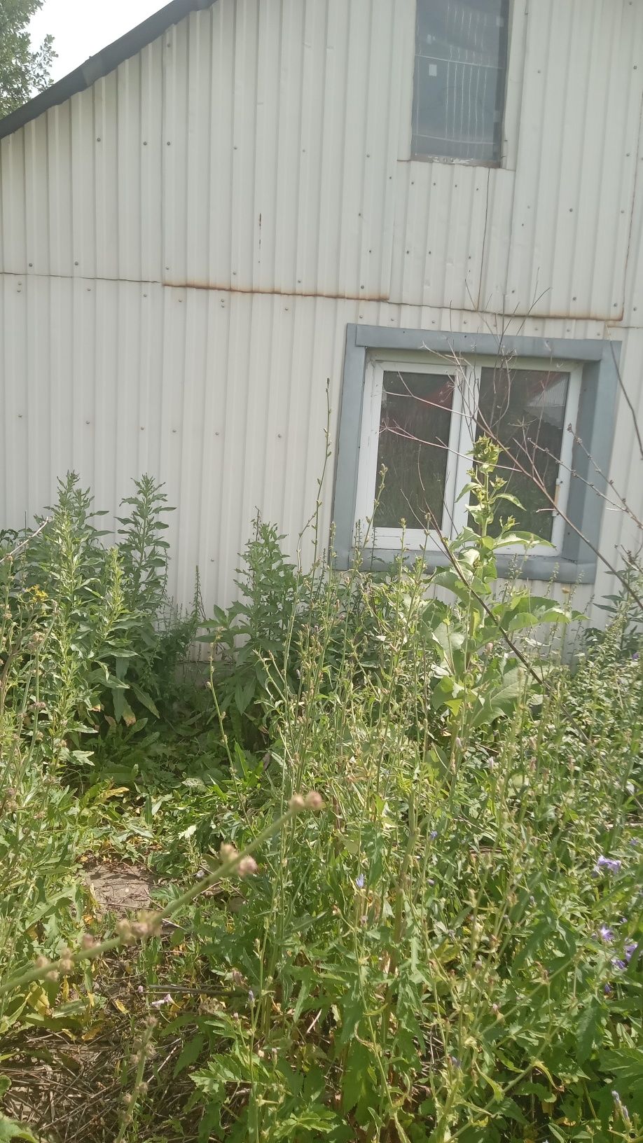 Продам дачу зимний вариант