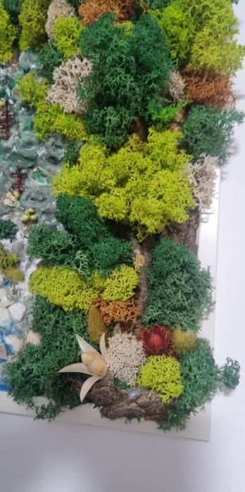 Tablou cu licheni 40x30 realizat manual