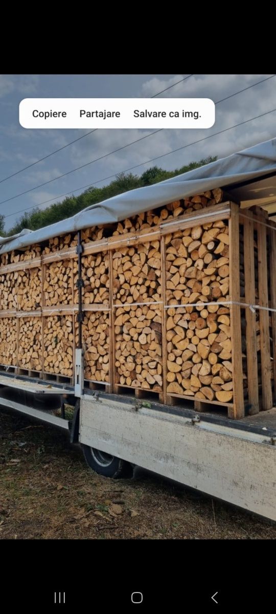 SC vinde lemne de foc taiate sparte fag paletizate Tulcea