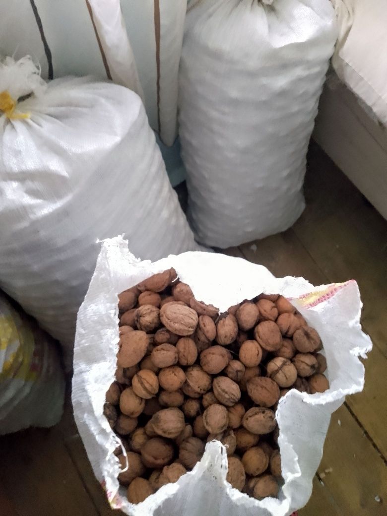 Vând nuci cu 8 lei kilogramul