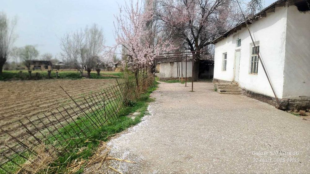 Uy sotiladi 45 sotix