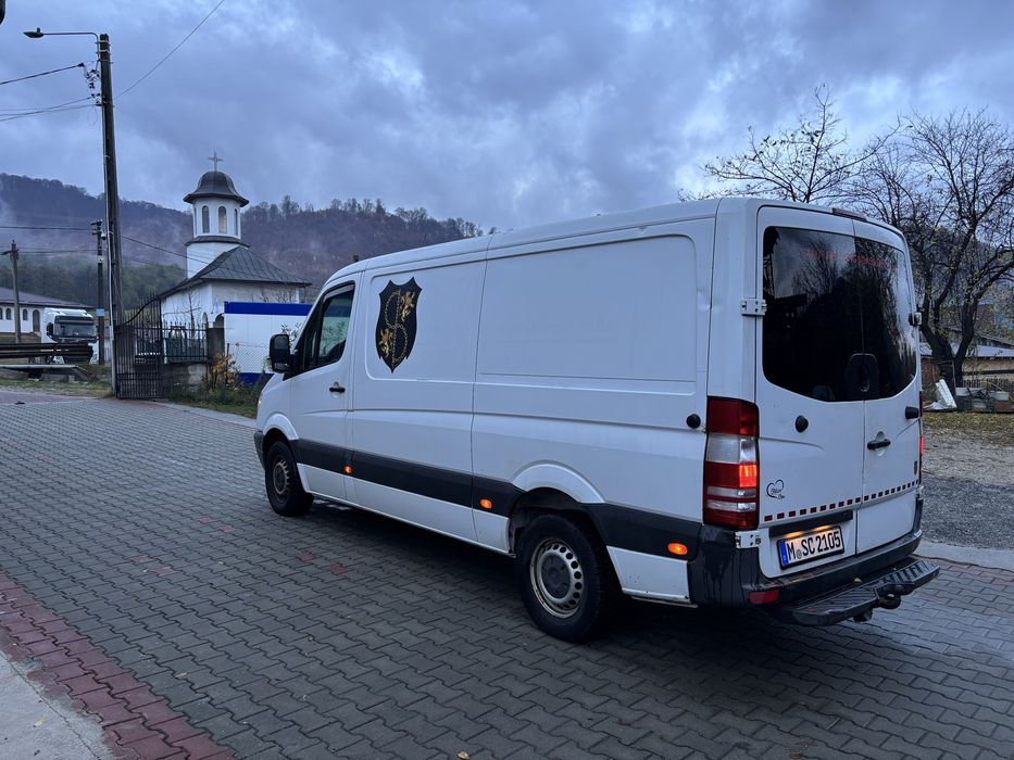 Mercedes sprinter 313