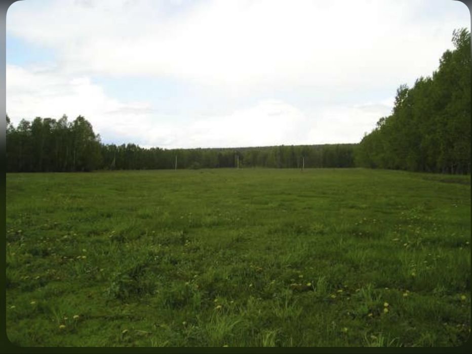 Участок 1,5 гектара бельбулак