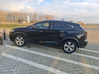 Lexus NX top full