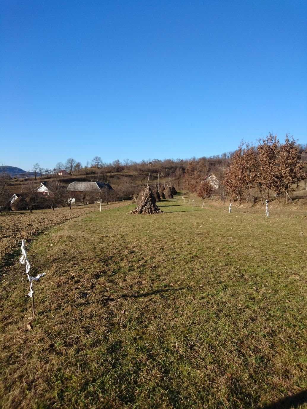 Teren de vinzare Nasaud
