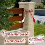 Bolțari gard 30x30 - 40x20 - 20x20 - diverse culori - texturi diferite