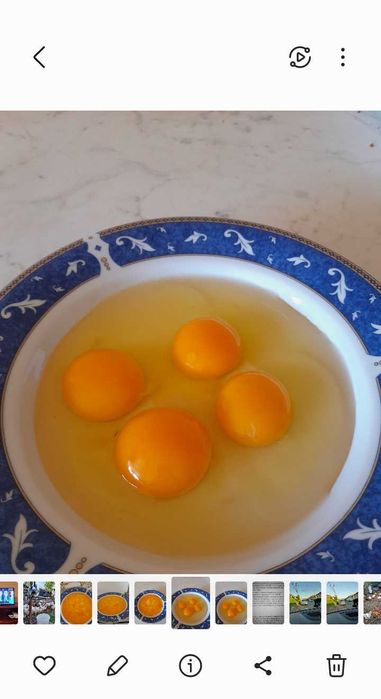 Vand oua de la gaini crescute la curte
