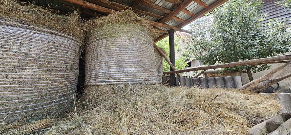 Baloti 2025 de vanzare