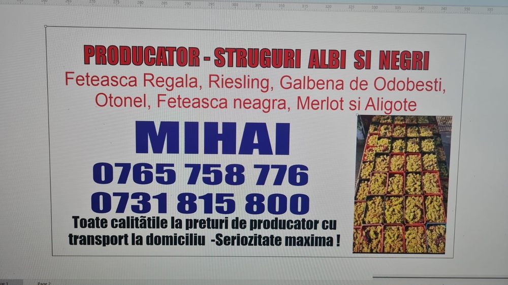 Producător vănd struguri de vin alb și negru