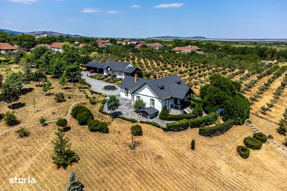 Visezi la o proprietate unică, plină de istorie și farmec?