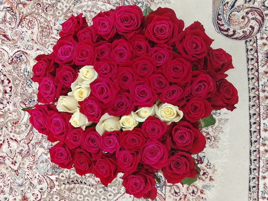 Цветы красный Роза