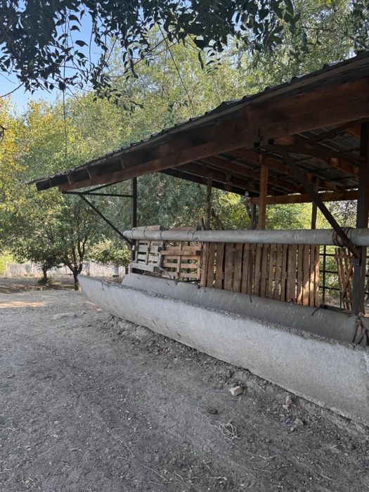 Сдам в аренду Фазенду.