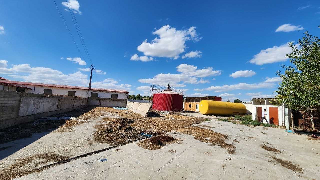 Toshkent viloyati, Yangiyo`l tumanida Chorvachilik fermasi  sotilmoqda