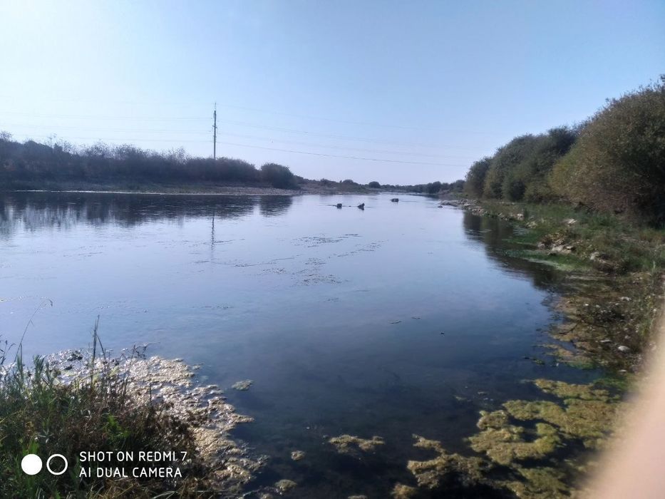 Продам 4гектара на Ташморе вдоль реки