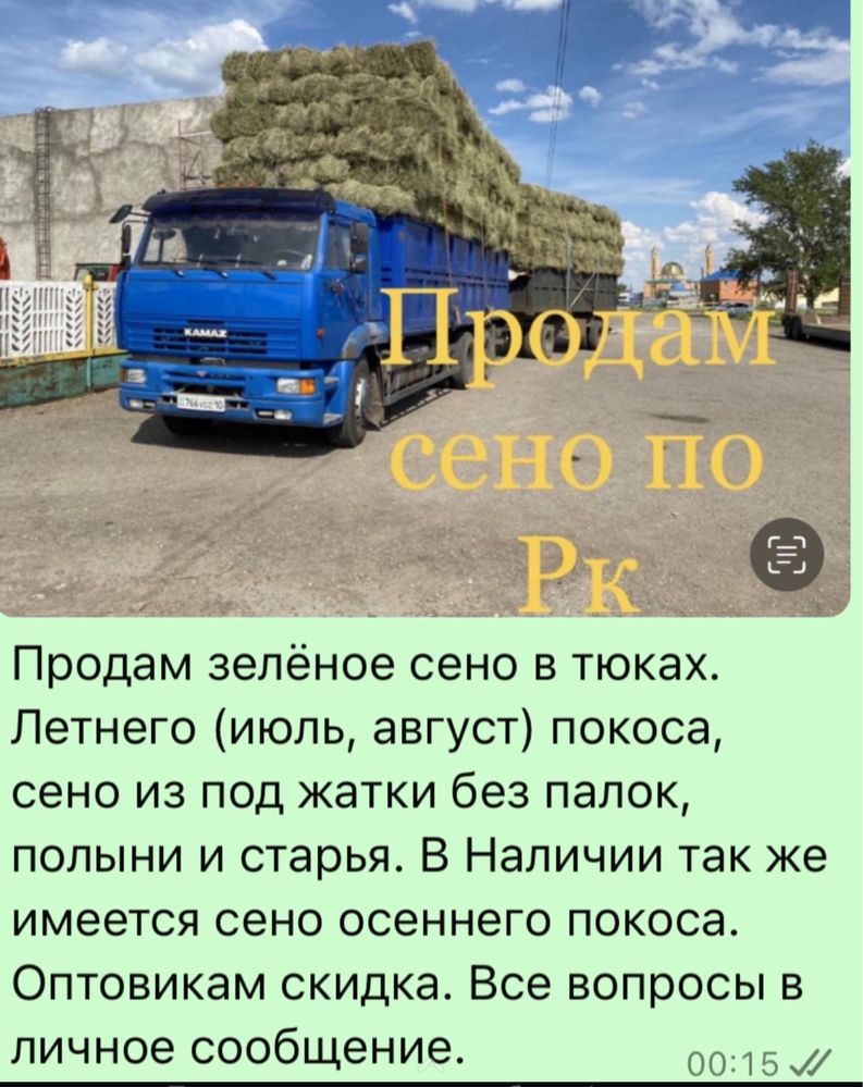 Продам зеленое сено