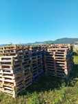 Paleti industriali