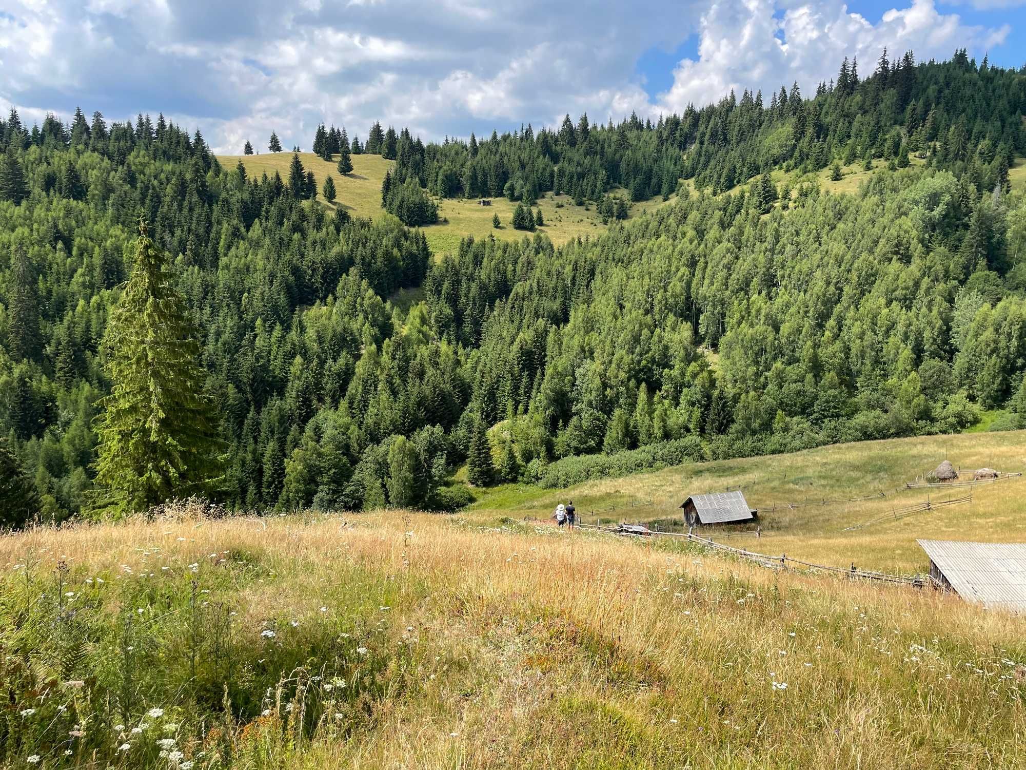 Ocazie! 17 Ha Hectare teren intravilan + extravilan in Fundu Moldovei