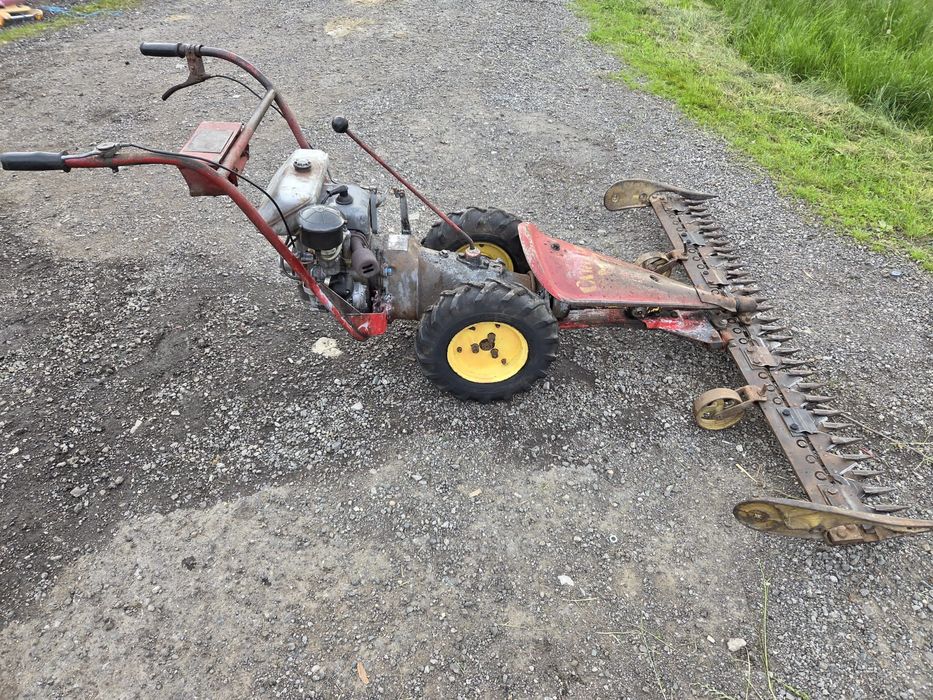 Vand cositoare carpatina in stare foarte buna