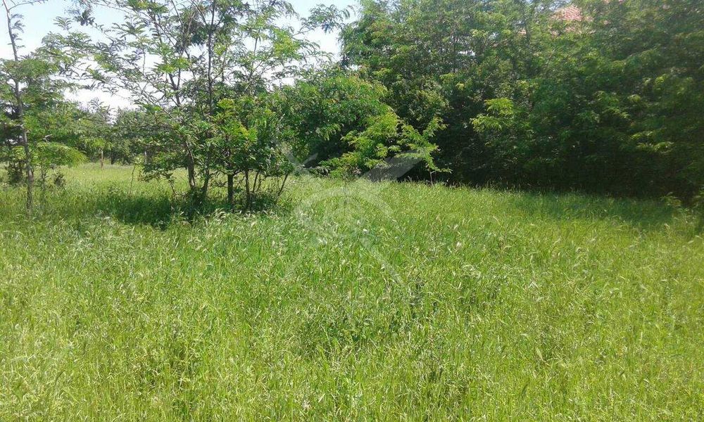 Сграда в Черноземен 33596