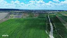 Gaminvest-Teren de vanzare, Rontau, Bihor V3726