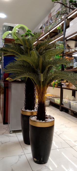 Суний дарахт ва гуллар Уй ва офисингиз учун ажойиб декоративные элемен