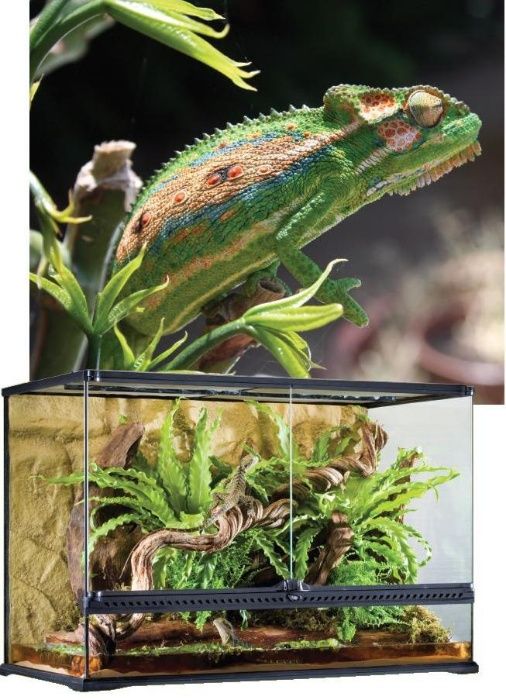 Нагреватели за терариуми и вивариуми ULTRATHERM