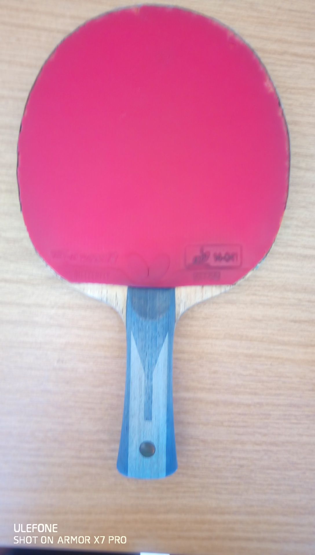 paleta timo boll butterfly